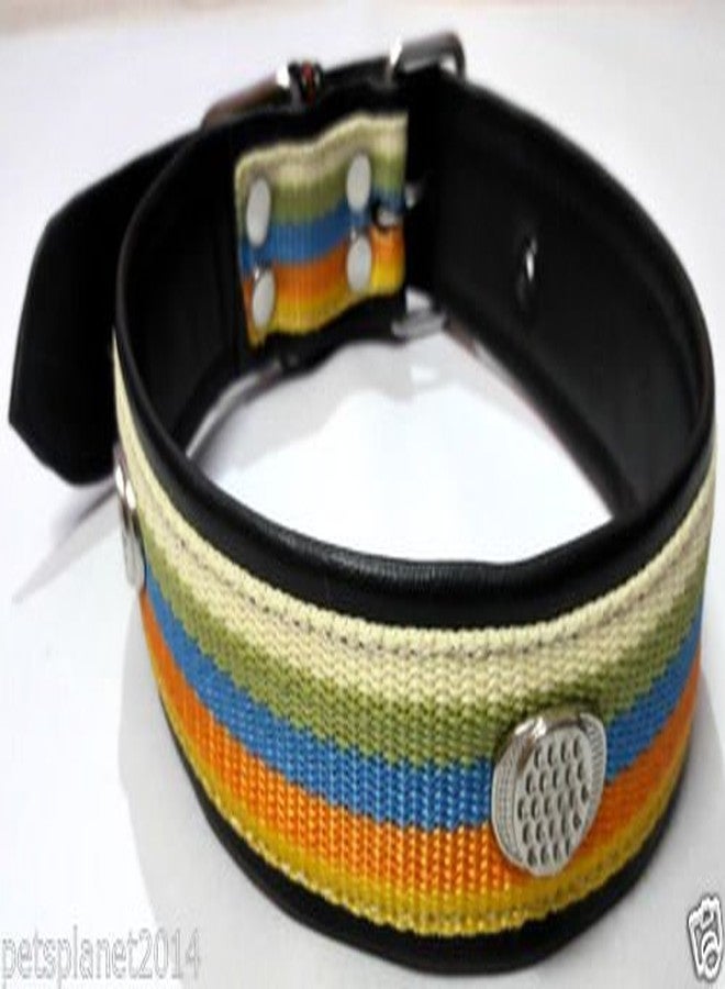 Ocean Wave Petsplanet Dog Collar with Stylish Design & Soft Pad- 5 Color Strip - Image 2